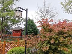 -九尺赵老四鲜鹅肠火锅