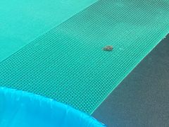 -上海玛雅海滩水公园