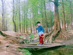 -白水寺森林公园