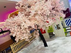 -Mr·Kuma酷么先生雪之乐园