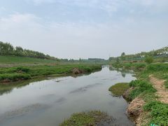 -洨河生态公园