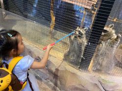 -酷嗒动物文化乐园(cutezoo西溪乐天城店)