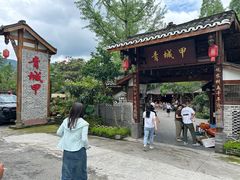 -青城甲(青城山店)