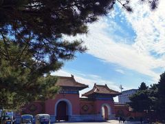-北陵公园