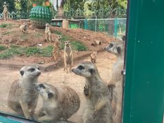 -秦皇岛野生动物园