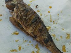 -眼镜哥浦江夜宵大本营