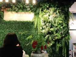 -小熊维尼高端孕婴摄影(清湖金銮店)
