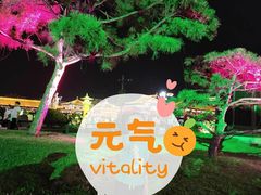 -大雁塔北广场音乐喷泉