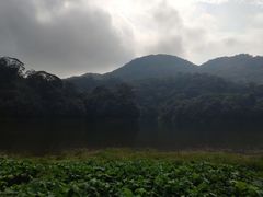 -广州市石门国家森林公园