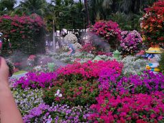 -莲花山公园