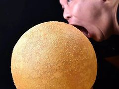 -杨记隆府(重庆总店)