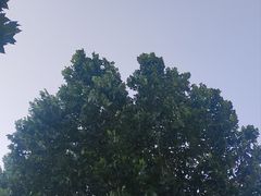-郑州东站