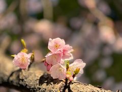 -静安雕塑公园