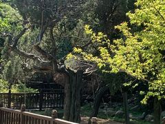 -草庵摩尼教遗址公园