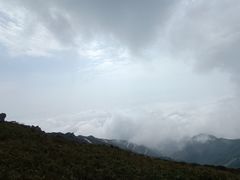 -白草畔自然风景区