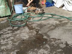 -七彩云酸水鱼(龙胜十七分店)