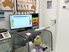 -立德异宠动物医院.兔鸟爬.内窥镜(天河店)