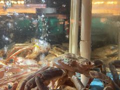 -紫阳海鲜楼·传承闽味(长乐路总店)