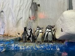 -太平洋海底世界