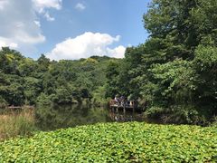 -天目湖山水园
