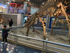 -国家自然博物馆