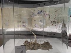 -盐城丹顶鹤湿地生态旅游区