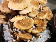 -火鳳祥美蛙牛肉自助(青悦城店)