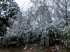 -天目湖涵田半山温泉