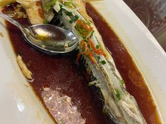 清蒸鱼-新疆巴州金丝特餐厅(大钟寺店)