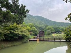 -宝岩生态观光园