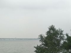 -宝安西湾红树林湿地公园