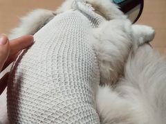-仁普宠物诊所(住友昌盛新苑店)