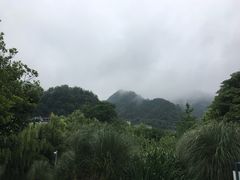 -贵阳市花溪国家城市湿地公园