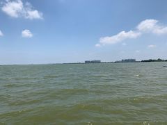 -瑶湖郊野森林公园