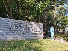 -福田红树林生态公园