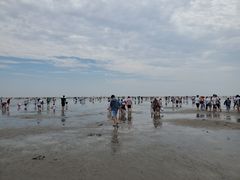 -碧海金沙