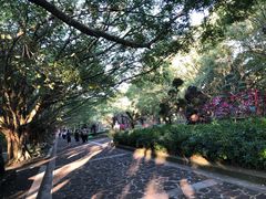 -海口火山口国家地质公园