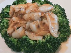 翠绿X酱花枝片-上海宝华喜来登酒店·采悦轩中餐厅