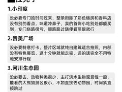 -圣淘沙天际线斜坡滑车
