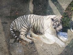 -大连森林动物园