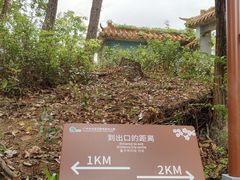 -广州市流溪河国家森林公园