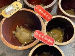-湘力力小院·鱼汤泡饭(枫林路店)