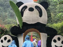 -栾川竹海野生动物园