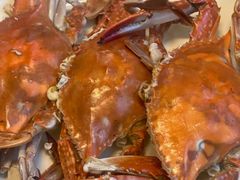 -宾朋海鲜饭庄(兴海路店)