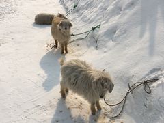 -北京亚布洛尼朝阳公园滑雪场