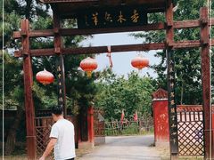 -香木香羊(小汤山店)