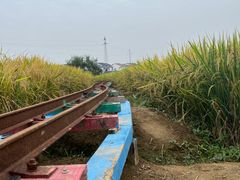 -武汉紫薇都市田园