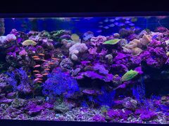 -海合安青岛极地海洋公园