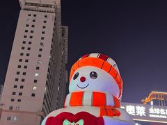 -奥体中心(地铁站)