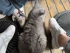 -么么咖啡(燕郊店)